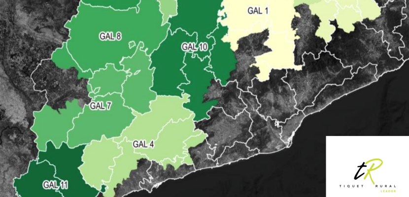 Different action local groups in Catalonia A map of the different action local groups in Catalonia.